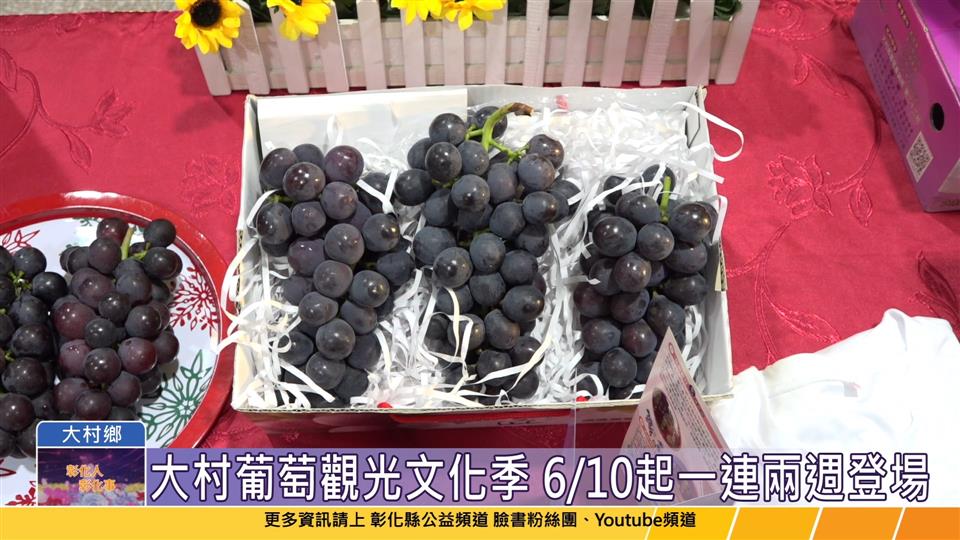 112-05-30 紫戀大村 大村葡萄觀光文化季即將登場